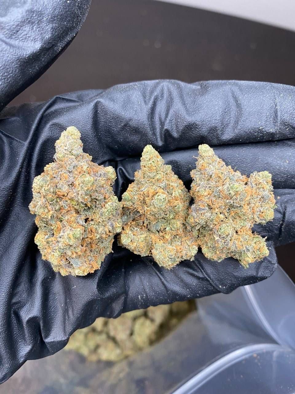 Cannabis Online in Frankfurt kaufen – Bild 2