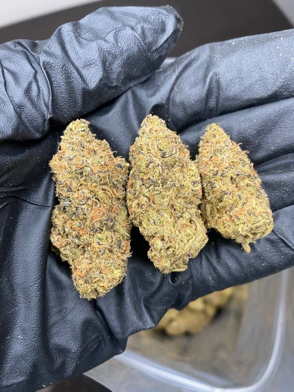 Cannabis Online in Frankfurt kaufen – Bild 4