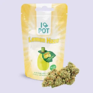 CBD-Blüte – Lemon Haze 2